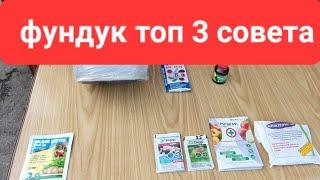 Фундук  топ-3 совета,для новичков и не только