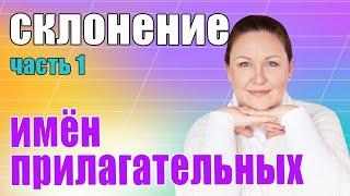 Определяем падежи имен прилагательных. Склонение имен прилагательных.