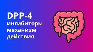 Препараты от диабета. Механизм действия ингибиторов DPP-4. Как работают блокаторы ДПП-4