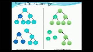 104. Informatica MDM 10 Tutorial - Unmerge when Parent Unmerge - Tree Unmerge and Linear Unmerge