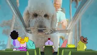 Poodle Dog Drinking from SpongeBob's Bus Tour for 10 Hours