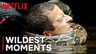 Bear’s WILDest Moments  Animals on the Loose: A You vs Wild Movie | Netflix After School