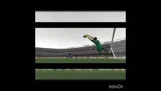 see pes what a wonderful game