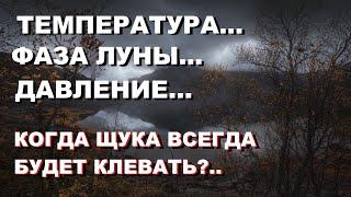 Щука осенью, 5 секретов... Узнайте Когда Щука Всегда Будет Клевать… SeMano TV