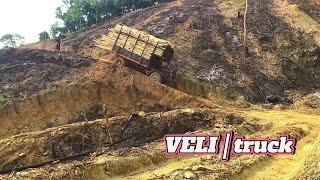 Huge Vehicle Carrying Overloaded Wood - A Challenging Journey Over Muddy Roads