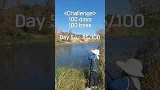 100 bass challenge - Day54 Ryan-2 #fishing #kidsfishing #challenge #creekbass