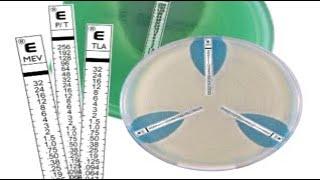 ETEST: Multi Pack Handling and Storage