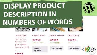 How to Display Shortened Description under Product Title in Number of Words in WooCommerce Archive