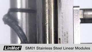 SM01 Stainless Steel Linear Modules