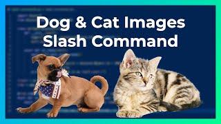 Cat & Dog Images Slash Commands | discord.py