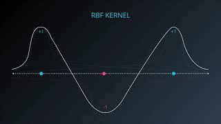 106 RBF Kernel