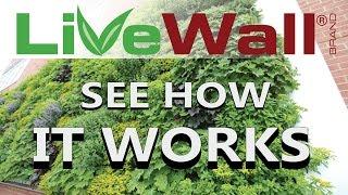 How The LiveWall Living Wall System Works