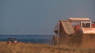 'Abnormally dry' conditions has farmers in Atlantic Canada concerned