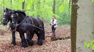 Oldtimertreffen Twistringen Alte Ziegelei 2019 Thomas Glander