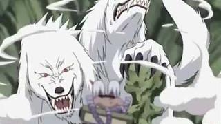 Sakon & Ukon vs Kiba Inuzuka hd