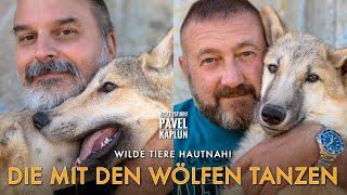 Wilde Tiere hautnah! Die mit den Wölfen tanzen