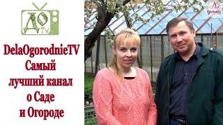 DelaOgorodnieTV САМЫЙ ЛУЧШИЙ КАНАЛ о Саде  и Огороде. Подписывайтесь