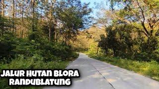 Jalur Blora Randublatung Terbaru Menerobos Hutan Jati Yang Lebat