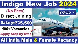 Indigo Airlines Job Vacancy 2024 | Indigo Job Apply Online | Indigo Jobs 2024 | Airport Vacancy 2024