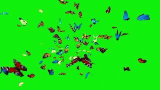 Green Screen Butterfly Effect