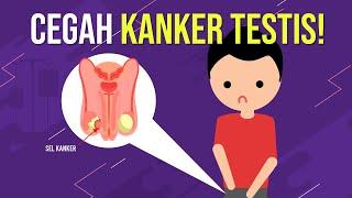 Cara Mencegah Kanker Testis!