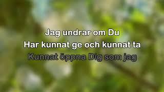 Patrik Isaksson - Hos dig är jag underbar (karaoke - lyrics)