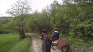 Passeggiata a cavallo "into the wild" per le colline Ravennate