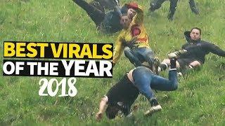 Top 40 Viral Videos of the Year 2018