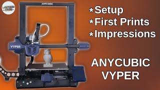 Anycubic Vyper 3D Printer - Setup, first prints and impressions