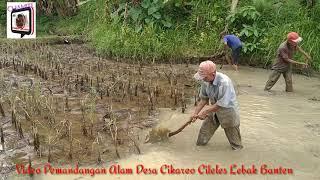 Puisi untuk Ayah "TERIMA KASIH AYAH DARI PUTRIMU"  ( Cip.Wulan Mudmud )