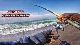 Jangan sia siakan puncak pasang air laut..!! Ikan ini sering menyambar umpan mancing saat air pasang