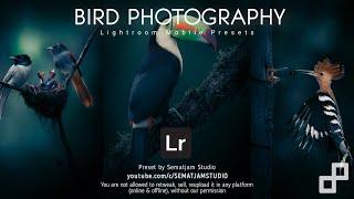 NO PASSWORD | FREE BIRDS PHOTOGRAPHY PRESETS - LIGHTROOM PRESETS - MACRO LIGHTROOM PRESETS  TUTORIAL