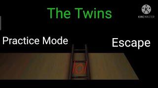 The Twins Practice Mode Full GamePlay With Believer