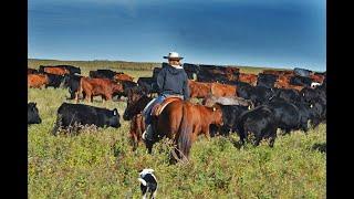 ALL IN A DAY'S RIDE  •  THE STORY OF THE MODERN COWBOY