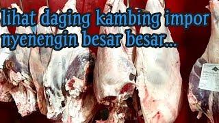 Daging kambing impor Australia,