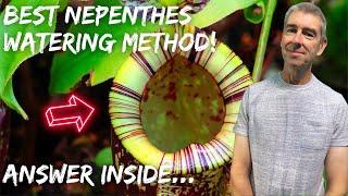 What's the Best Nepenthes Watering Method? What you need to know...