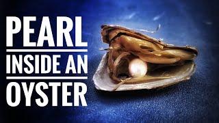 Random Reviews Ep. 117: $1 Pearl in an Oyster