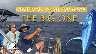 Blue Water Sailing: Marquesas to Tuamotus...MONSTER TUNA & BAD TIMING?! (Ep. 54)