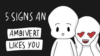 5 Signs an Ambivert Likes You