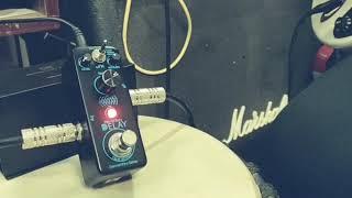 Vervetronix Delay Pedal played by talented Lokesh Bakshi