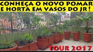 Conheça o novo Pomar  e Horta em Vasos do Junior (tour 2017)