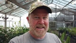 NC Landscape Contractor Credits via Webinar Wednesday