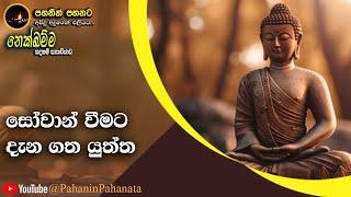 [7] විපාක සැප ඉක්මවූ අස්සාදය  - [නෙක්ඛම්ම සදහම් සාකච්ඡාව] - ගරු වසන්ත වීරසිංහ මහතා