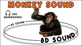 MONKEY SOUND - MONKEY SOUND EFFECT - NOISE OF MONKEY - animal sound