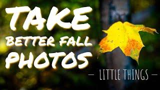 Take better FALL photos: remember the little things