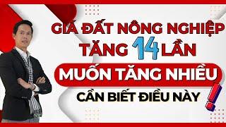 Giá đất nông nghiệp tăng 14 lần theo luật mới. Muốn Tăng nhiều lần TS phải biết điều này | Hiệp BĐS