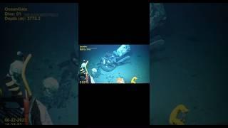 VIDEO INÉDITO DEL SUMERGIBLE DE OCEANGATE #titanic