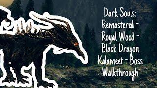 Dark Souls: Remastered - Royal Wood - Black Dragon Kalameet - Boss Walkthrough