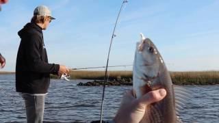 Fishing with Seahawk Inshore Charters