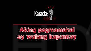 PANIWALAAN - BROWNMAN REVIVAL (OPM Karaoke)